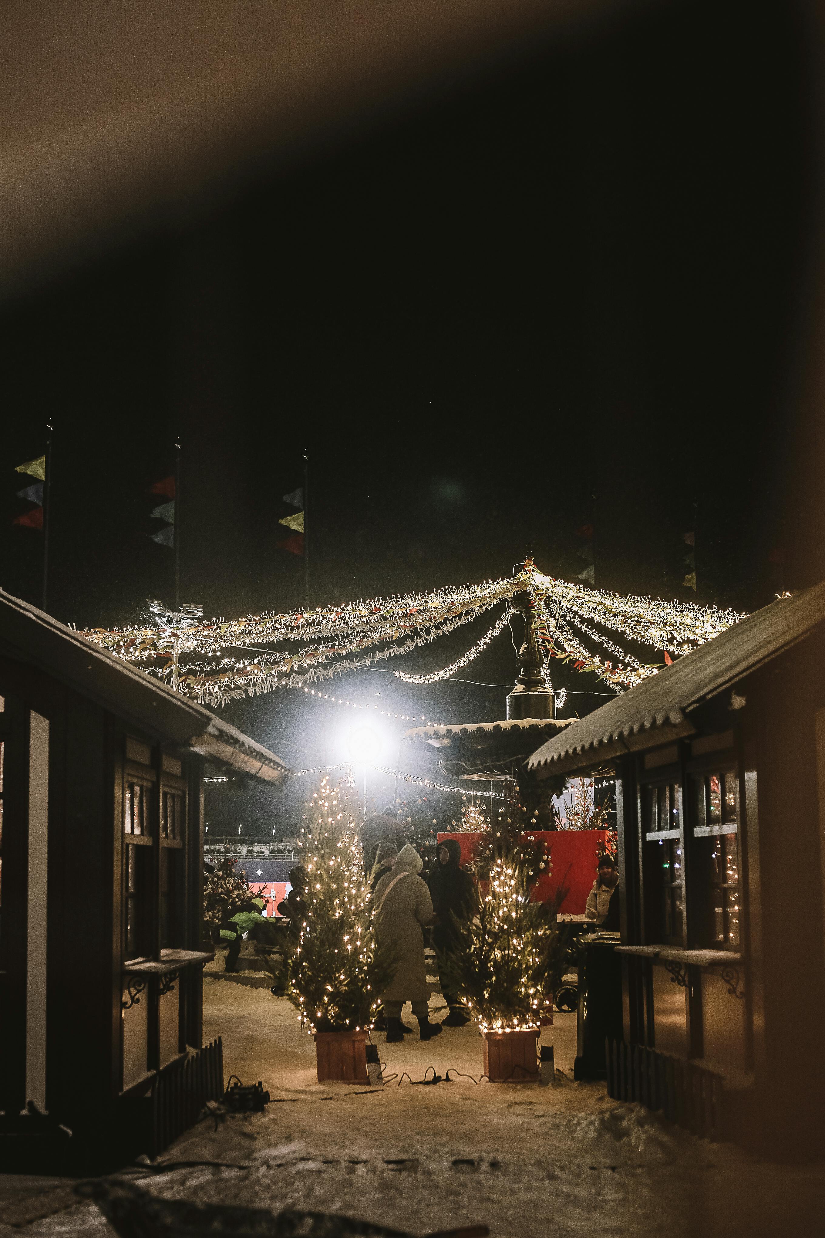 Tree wrapping with Christmas lights in DFW