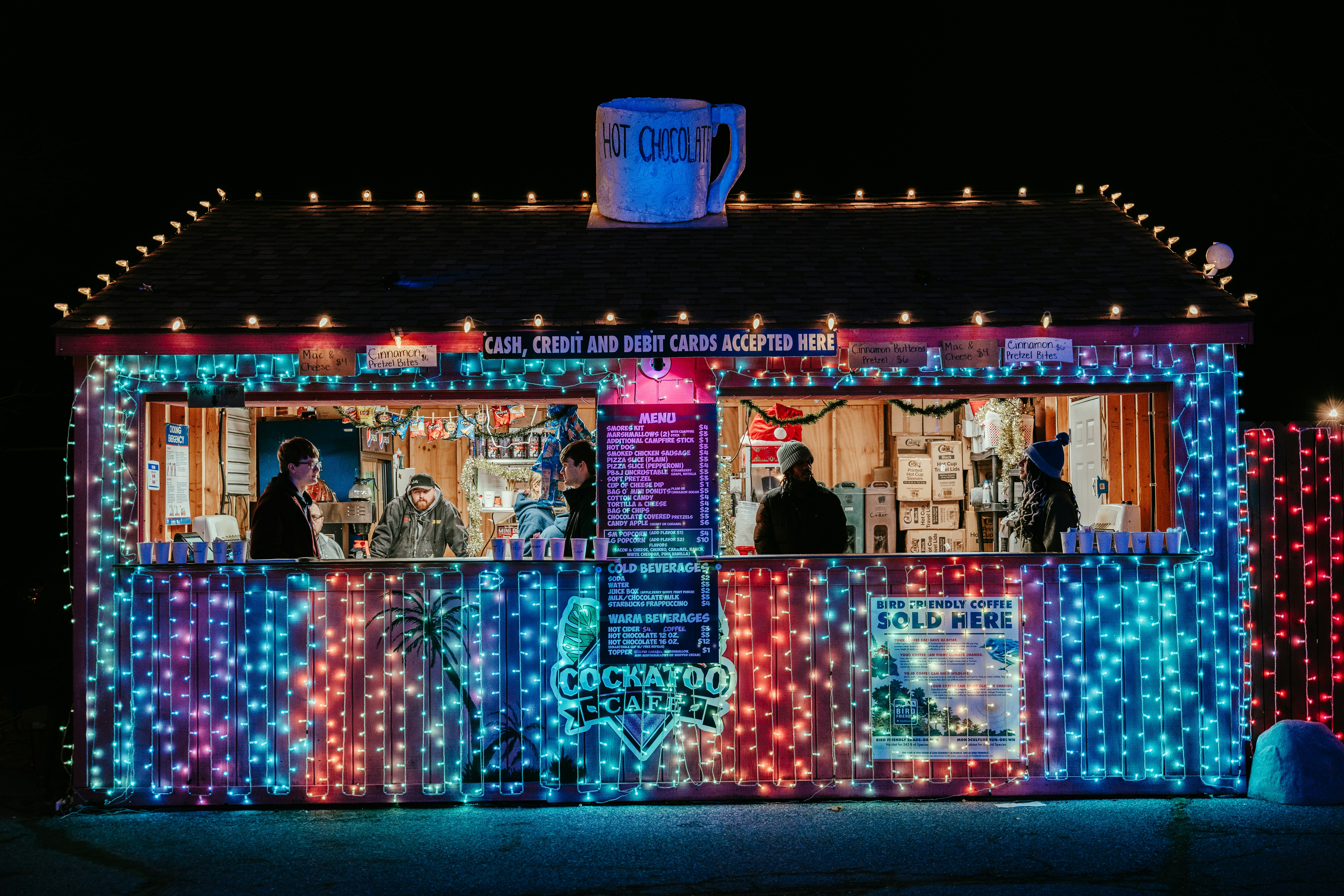 Luxury home Christmas lighting display